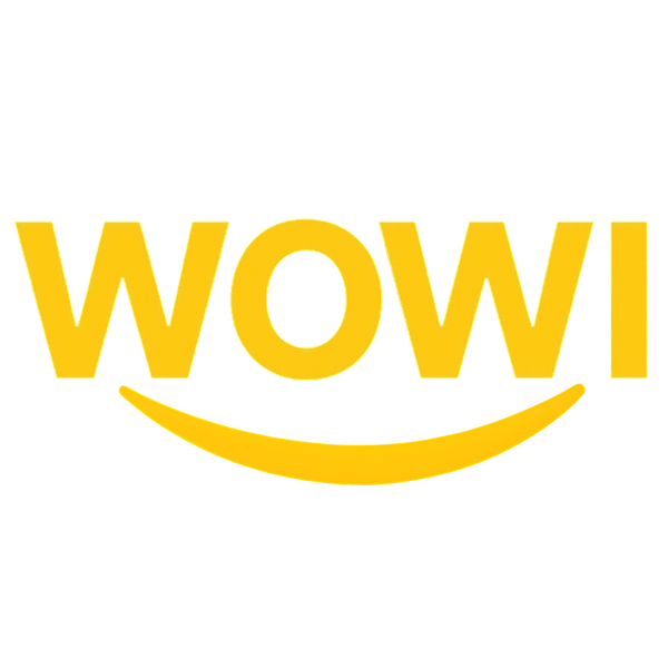 logo wowi meiggs por mayor