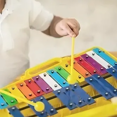 Xilofono Cromatico de 25 Notas Metalofono Infantil